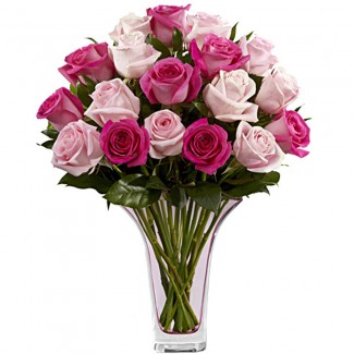 Multi Colored Pink Roses in a Vase