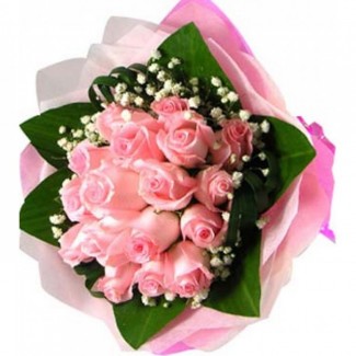 Pinky Beautiful Roses
