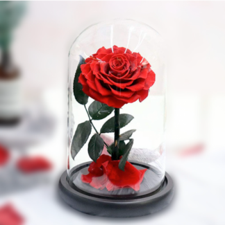 Captivating Beauty: Eternal Rose in Glass Dome