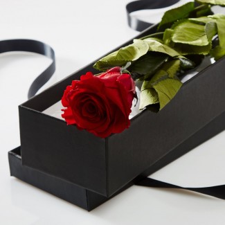 single stemmed rose in a luxury box