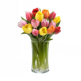 Tulips Multicolored in A Vase