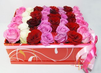 Four Dozen Multicolored Roses in a Gift Box