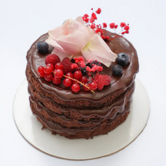 modern naked chocolate cake