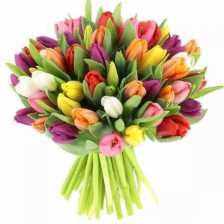 Multicolored tulip bouquet 