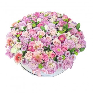 Pastel Dior Elegance Hatbox