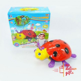 Lady Bug Toy