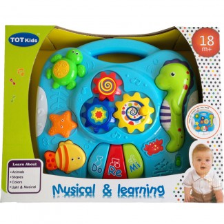 Musical and Learning Toy