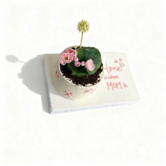 Modern mom cake design