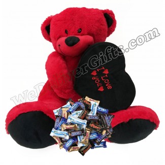 Bear Holding Chocolate Bytes