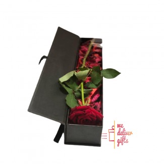 Single Red Rose in a black box