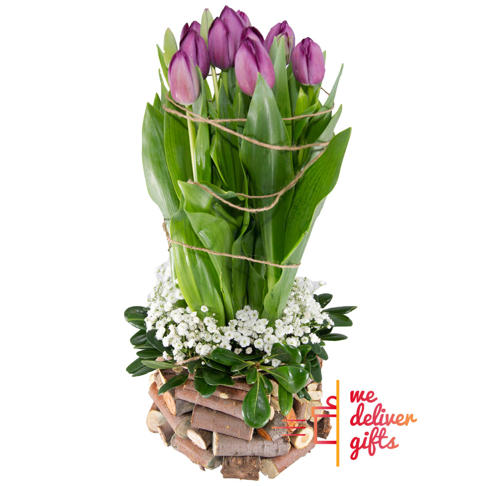 Lovely Tulip Arrangement We deliver gifts Lebanon