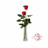 Single Red Rose in a Tube